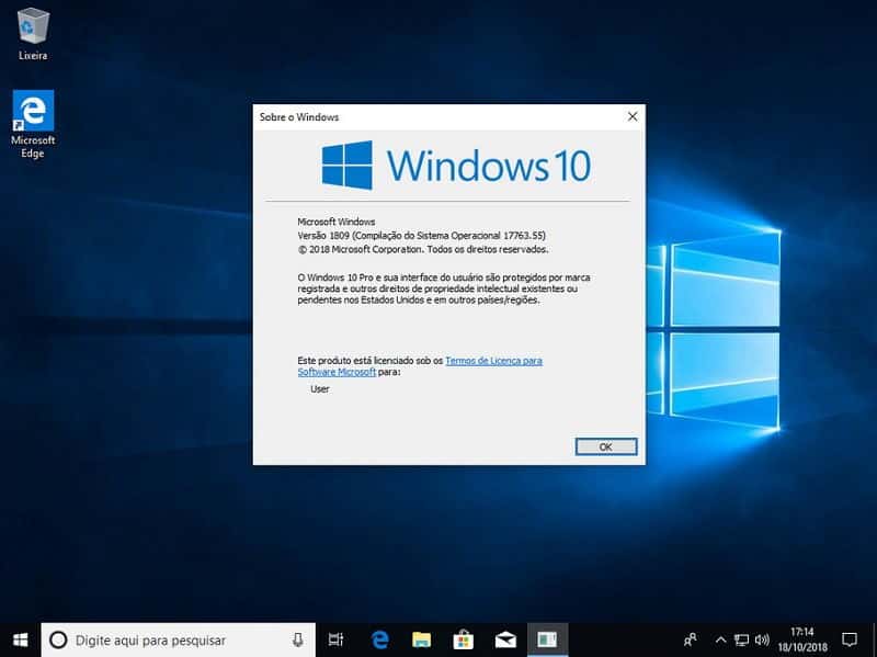 Windows 10 Pro X64 Redstone 5 + Office 2019 - PT-BR